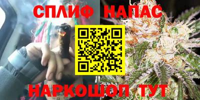 прущие грибы Кумертау