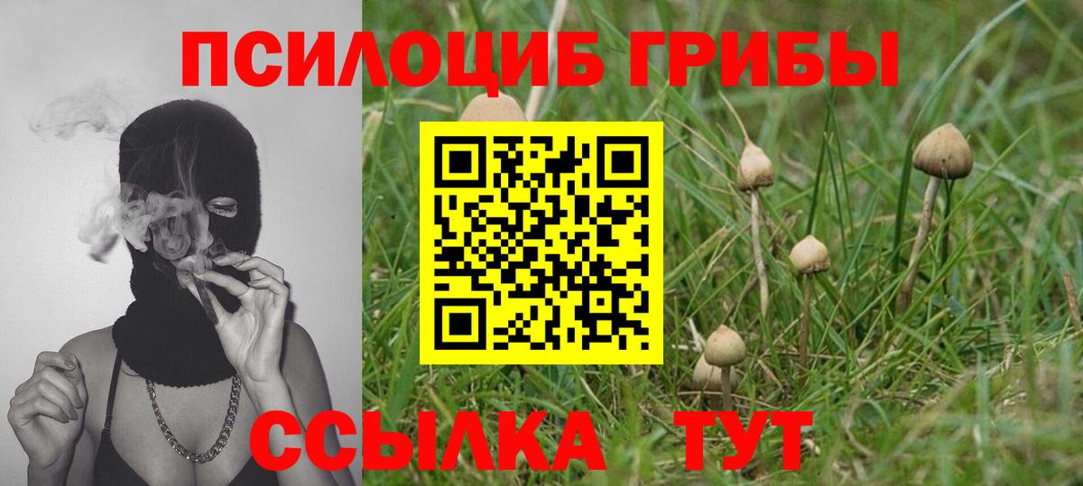 Псилоцибиновые грибы Cubensis  Псилоцибиновые грибы ЛСД  Ярцево  Вход с VPN 